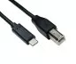 Preview: USB-kabel typ C till USB 2.0 B-kontakt, svart, 2,00 m, DINIC-kartong (kartong)